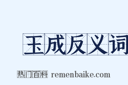 陳玉成反义词是什么意思的图片